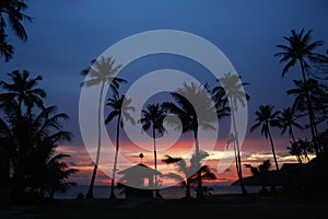Coconut beach sunrise.
