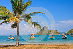 A Coconut and beautiful seascape, Thailand