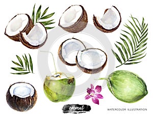 Coconut big set watercolor illustration isolated on white background