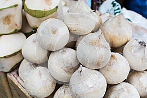 Coconut