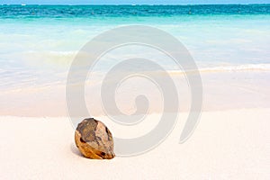 Coconut on caribbean white sand with turquoise sea background