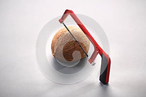 Coconut with a chainsaw