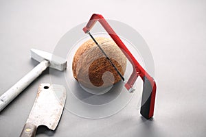 Coconut with a chainsaw