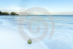 Coconut on clean sandy tropical beach with clear blue water lapp