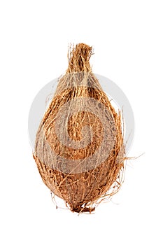 Coconut close-up isolated on a white background