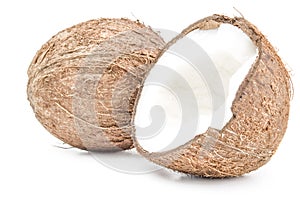 Coconut close-up isolated on white background