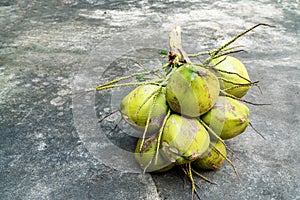 Coconut cluster On the cement floor,Thailand