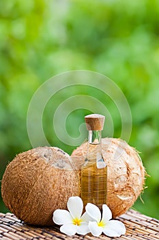 Noce di cocco un noce di cocco olio 