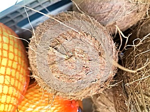 Coconut, coconuts, coco, brown colored exotic and tropical fruit, fresh, raw, ripe and delicious food