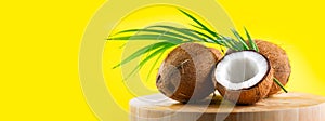 Coconut with coconuts green palm tree leaf on yellow background. Beauty treatments. Coco nut closeup. Healthy Food