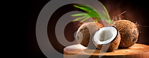Coconut with coconuts palm tree leaf isolated on back background. Border design. Wide angle. Fresh raw organic half of coco nut