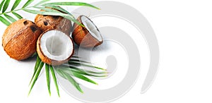 Coconut with coconuts palm tree leaf isolated on a white background. Fresh coco nut