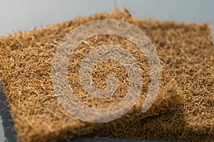 Coconut coir. Close-up Coconut fiber. Mattress filler. The concept of filling a mattress.