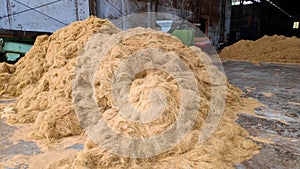 coconut coir husk piled, which has been peeled off or de-husked from the coconut at factory storage