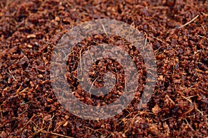 Coconut Coir substrate for for agriculture. Background photo