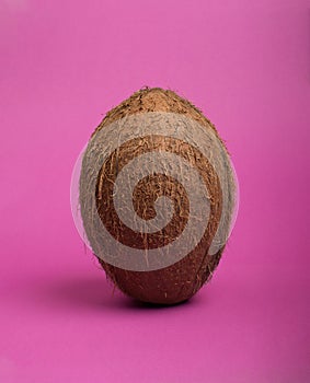 Coconut on colored background.