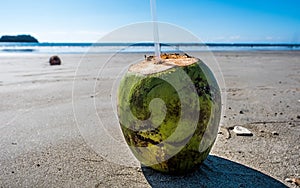 Noce di cocco Spiaggia vacanza verde Pacifico Oceano 