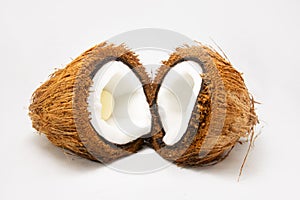 A Coconut covered with Coir or Coconut fiber which has white flesh.