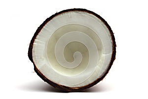 Coconut