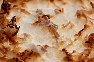 Coconut creme pie up close macro background