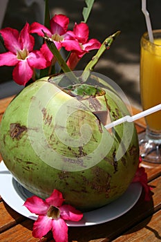 Coconut drink