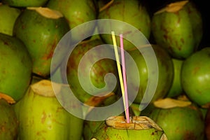 Coconut Drink photo