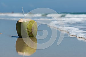 Coconut drink on the beach