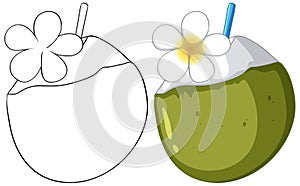 A coconut drink with a flower.outline and color