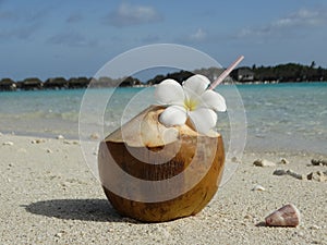 Coconut drink on paradise beach, Maldives