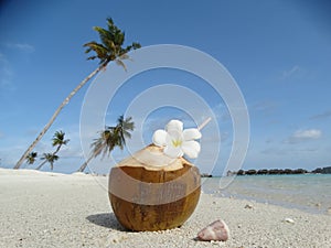 Coconut drink on paradise beach, Maldives