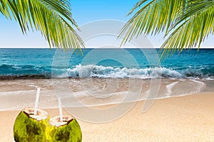 Coconut drinks on tropical beach with swaying palm trees.