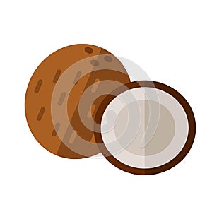 Coconut drupe with half section vector illustration. Superfood c