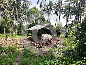 Coconut drying hut on Mindoro, Philippines photo