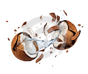 Coconut explodes into pieces on white background