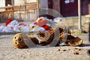 coconut face near temple closeup HD image