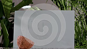 Coconut falls. Falling halved coconut with splash on the background of green leaves. Slow motion