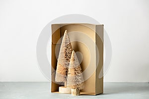 Coconut fiber Christmas trees in a box,  zero waste concept