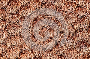 Coconut fiber doormat