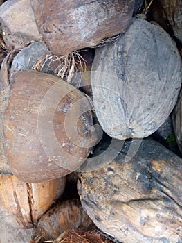 coconut fiber photo