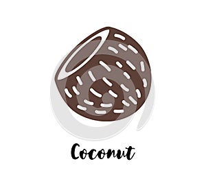 Coconut flat drawing. Cocoanut vector isolated illustration photo