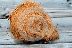 Coconut fruit cocoanut (Cocos nucifera) of the palm tree family (Arecaceae), genus Cocos