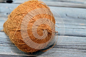 Coconut fruit cocoanut (Cocos nucifera) of the palm tree family (Arecaceae), genus Cocos