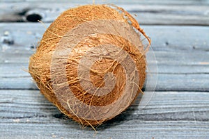 Coconut fruit cocoanut (Cocos nucifera) of the palm tree family (Arecaceae), genus Cocos