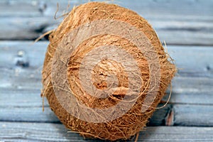 Coconut fruit cocoanut (Cocos nucifera) of the palm tree family (Arecaceae), genus Cocos
