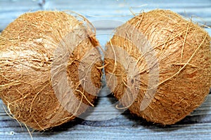 Coconut fruit cocoanut (Cocos nucifera) of the palm tree family (Arecaceae), genus Cocos