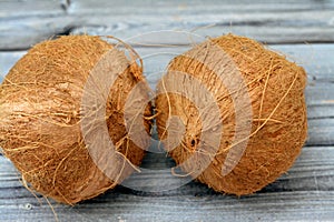 Coconut fruit cocoanut (Cocos nucifera) of the palm tree family (Arecaceae), genus Cocos