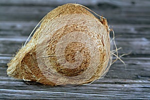 Coconut fruit cocoanut (Cocos nucifera) of the palm tree family (Arecaceae), genus Cocos