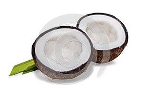 Coconut fruit with cut in half isolated on white background
