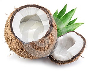 Coconut fruit full of coconut milk.