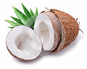Coconut fruit. photo